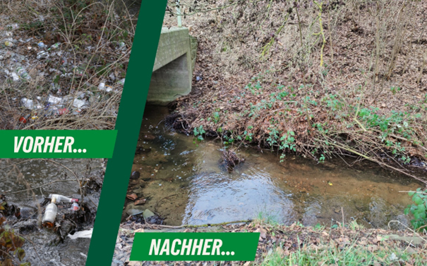 Vor der Reinigung nach der Reinigung