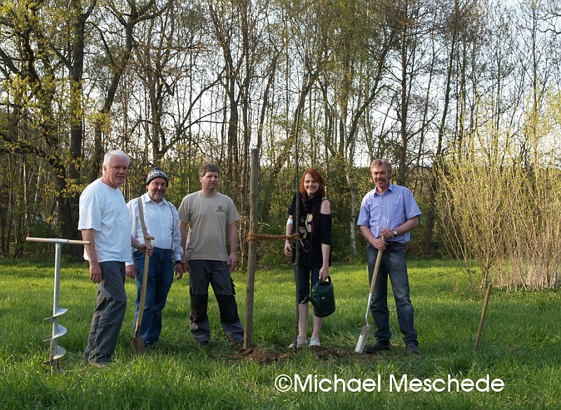Große Bäume pflanzen - Aktion Junge Riesen