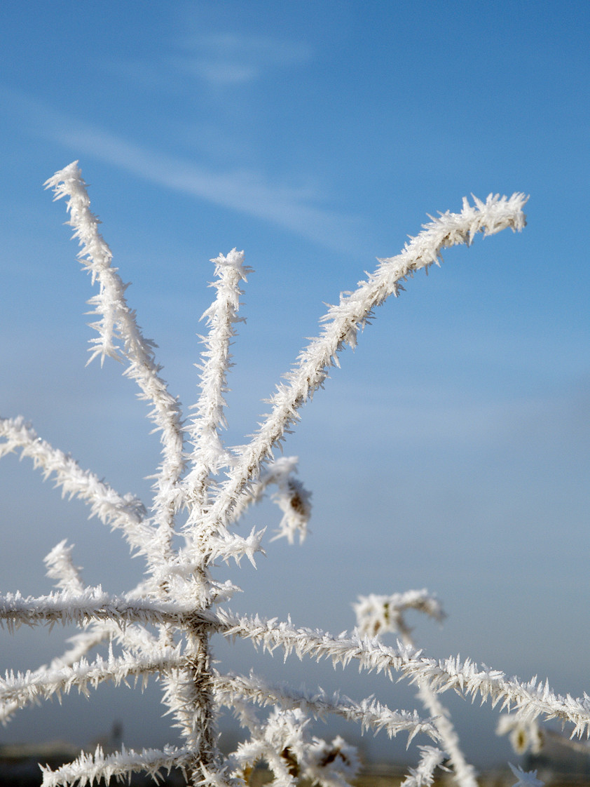 Foto: Michael Meschede