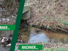 Vorher Nacher Ansicht am Setzebach